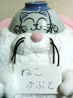 20100131catkabuto